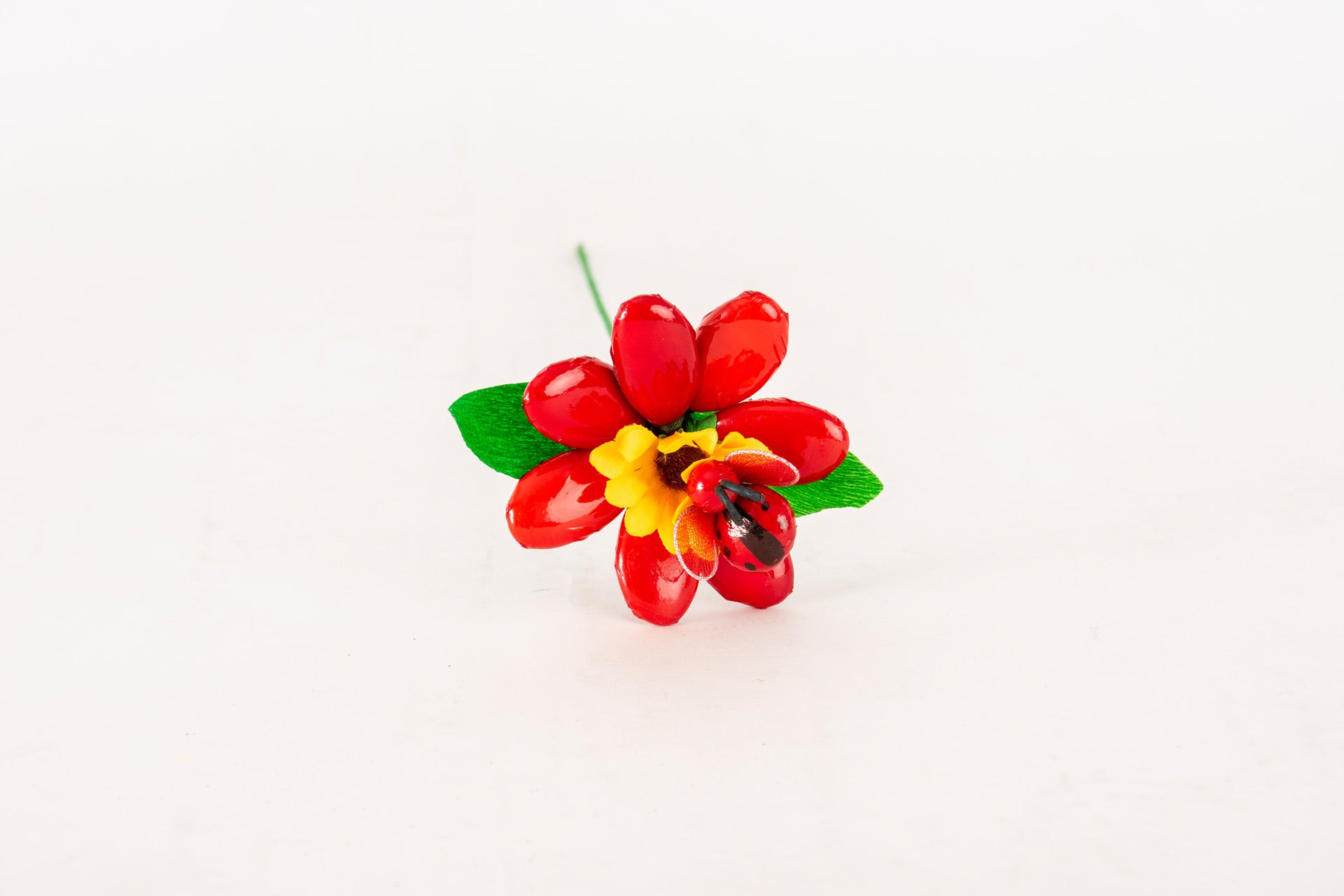 margherita-girasole-coccinella-rossa-1