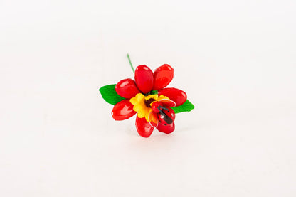 margherita-girasole-coccinella-rossa-1