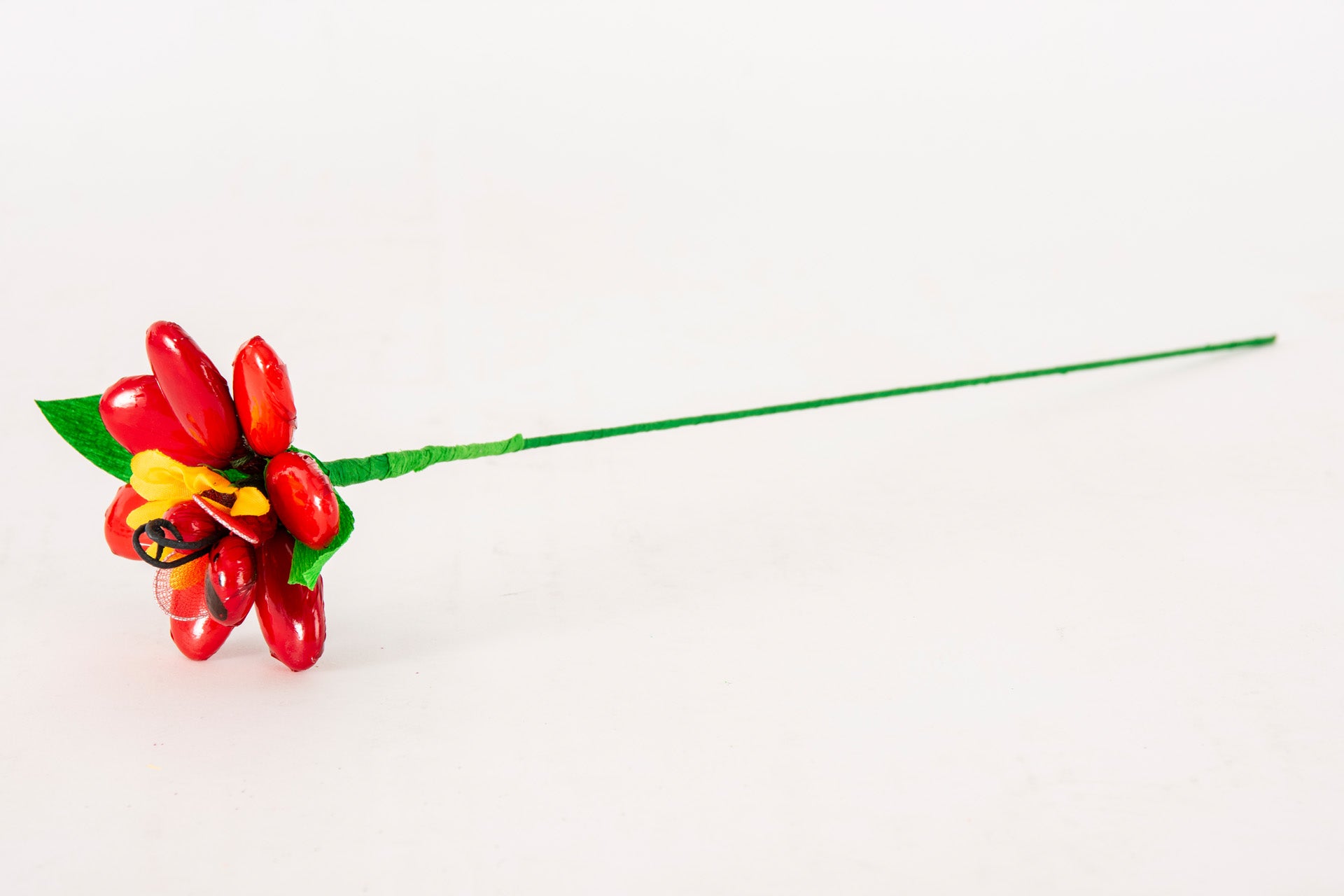 margherita-girasole-coccinella-rossa-2