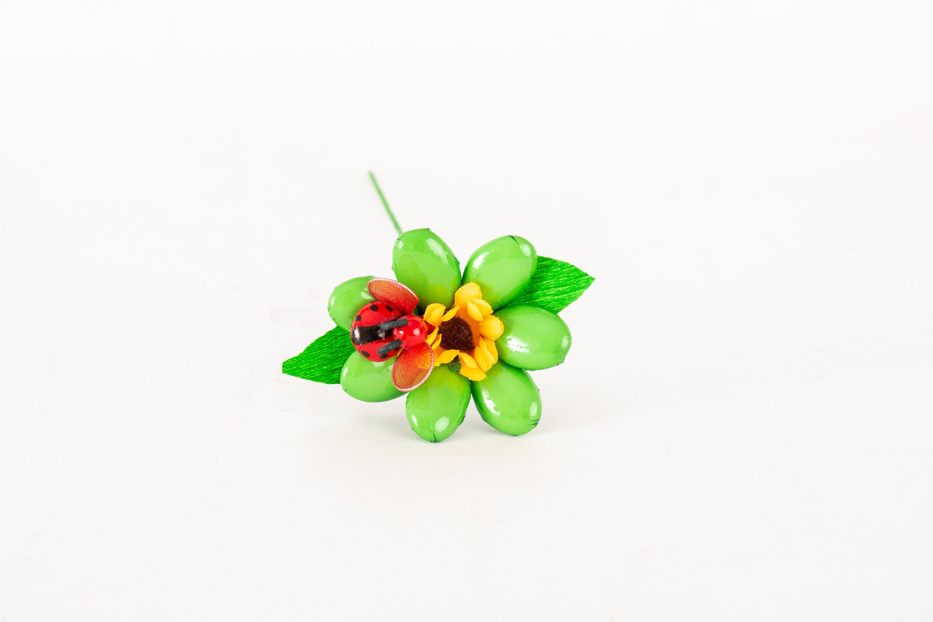 margherita-girasole-coccinella-verde-1