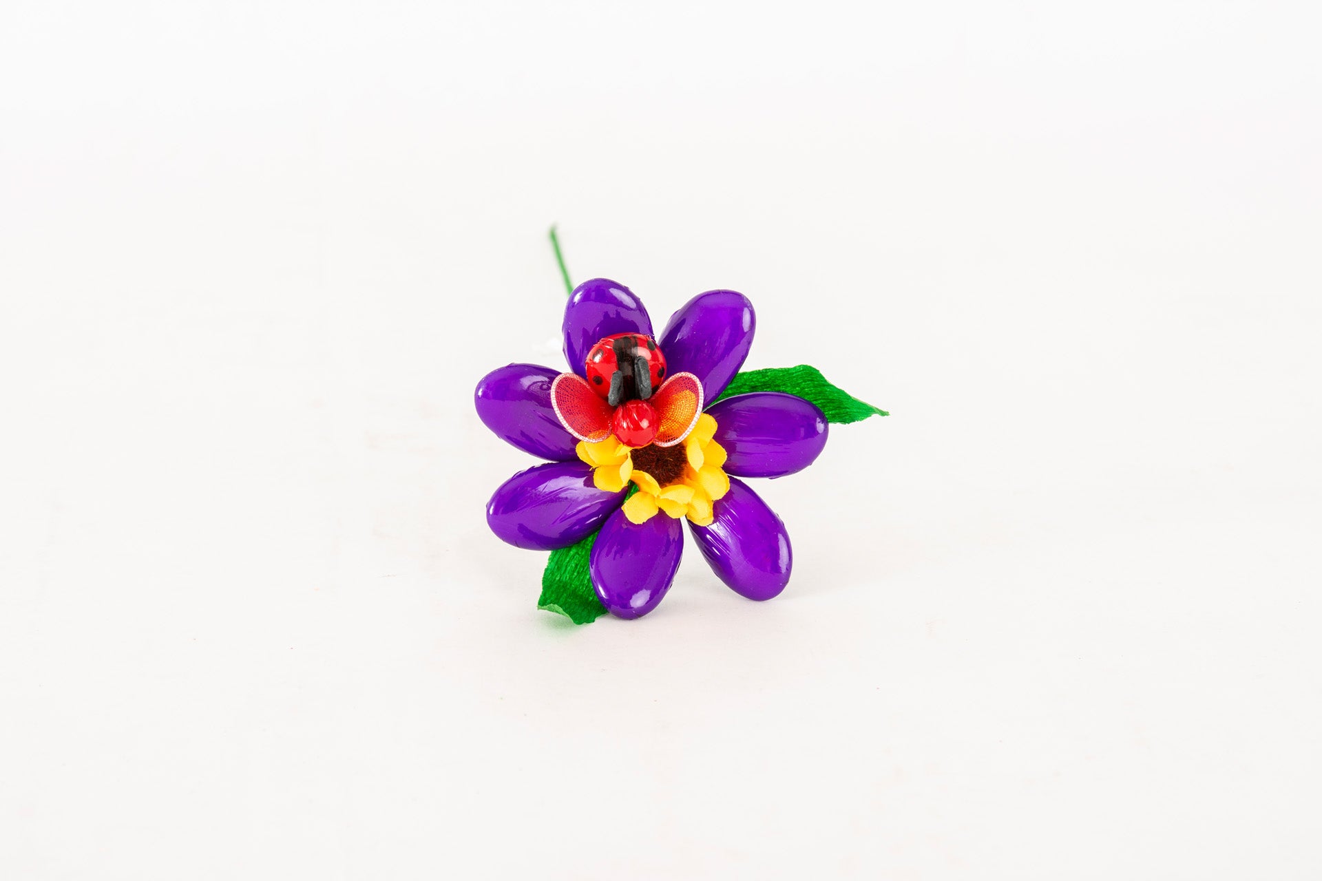 margherita-girasole-coccinella-viola-1