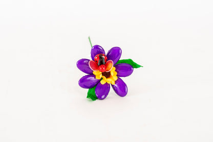 margherita-girasole-coccinella-viola-1