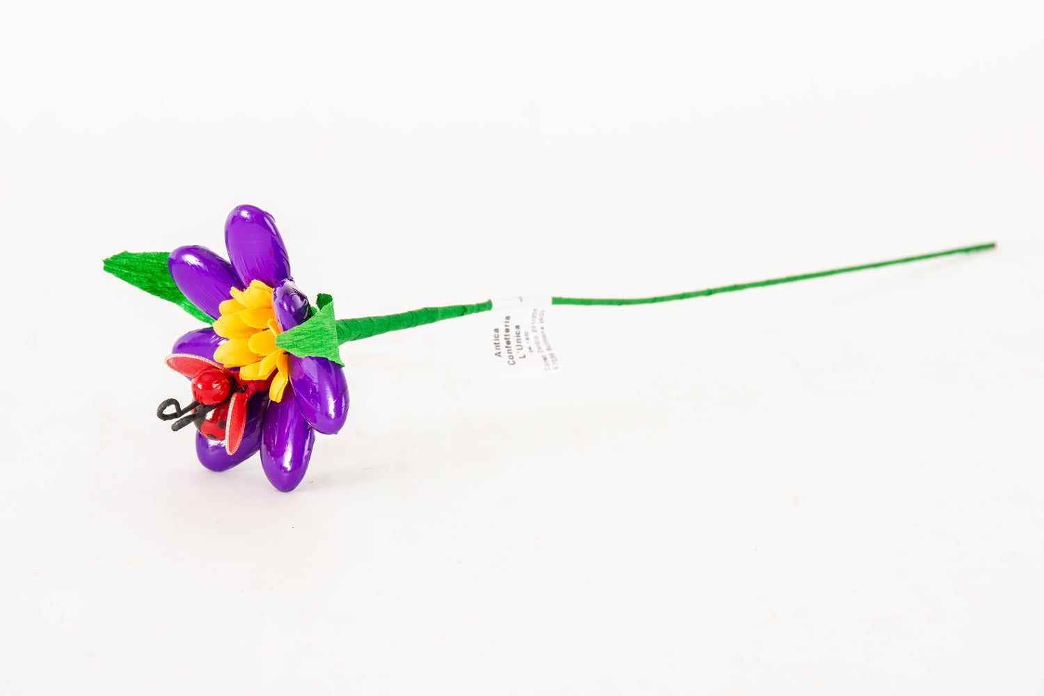margherita-girasole-coccinella-viola-2