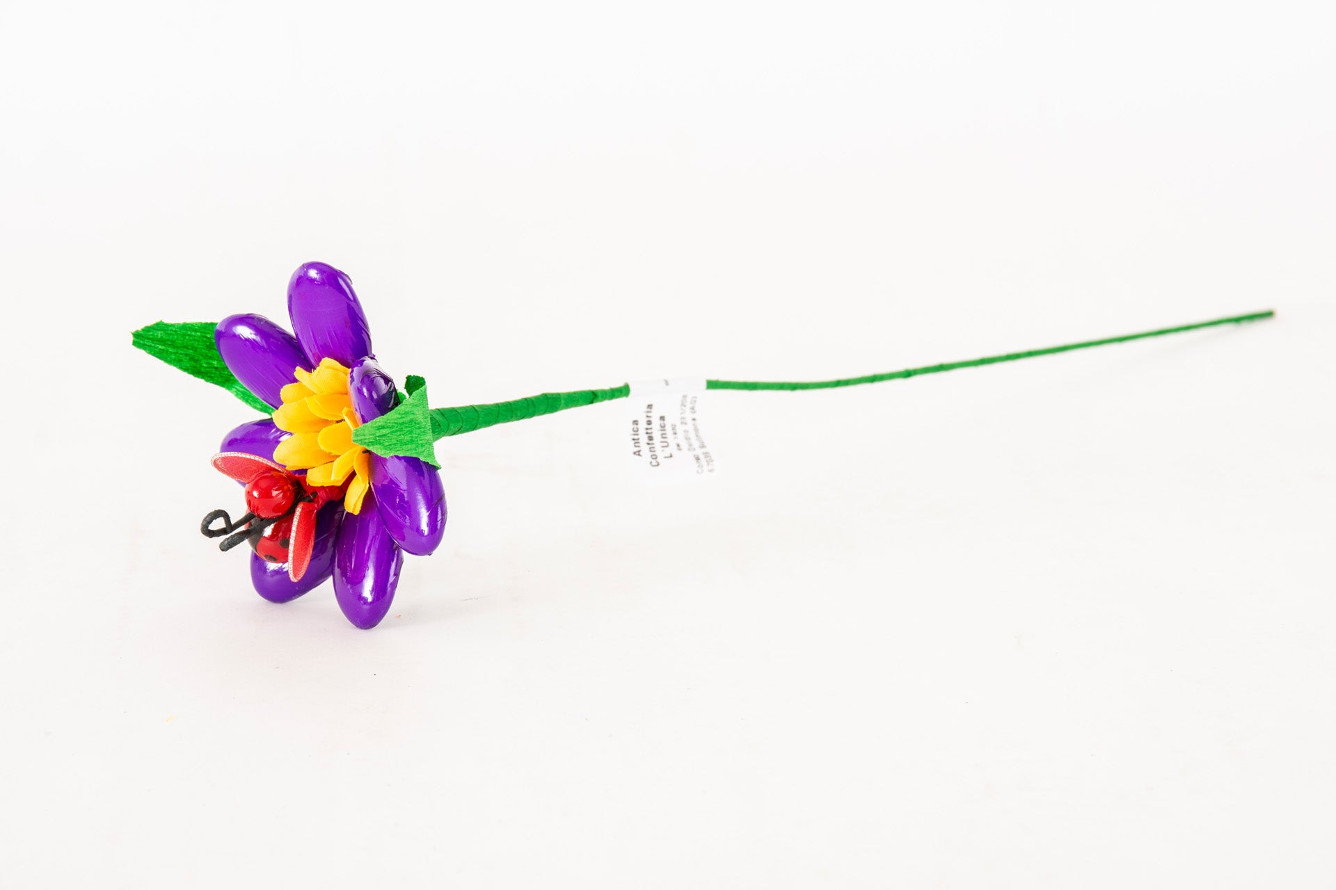 margherita-girasole-coccinella-viola-2