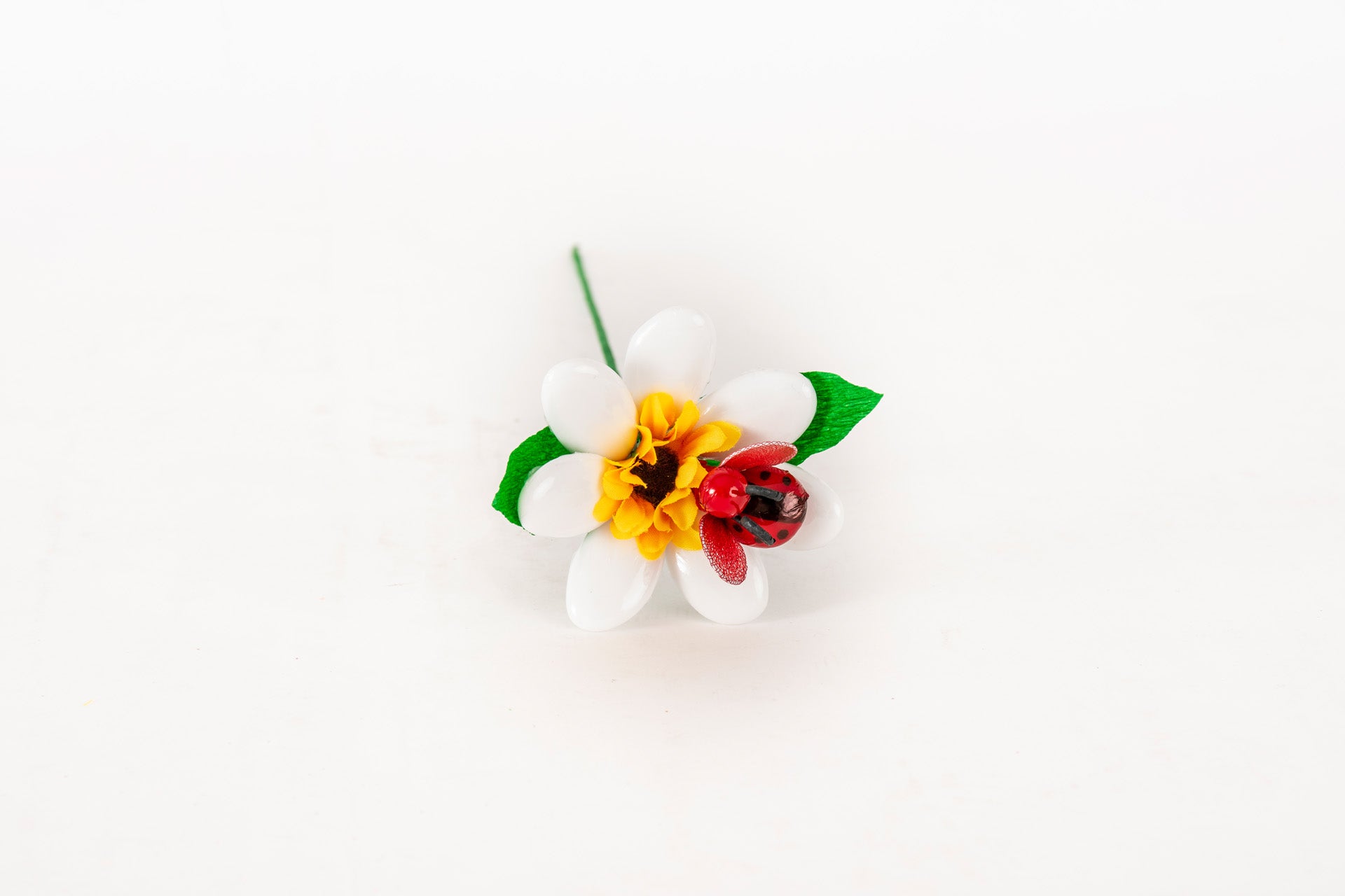 margherita-girasole-coccinella-bianca-1