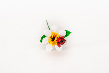 margherita-girasole-coccinella-bianca-1