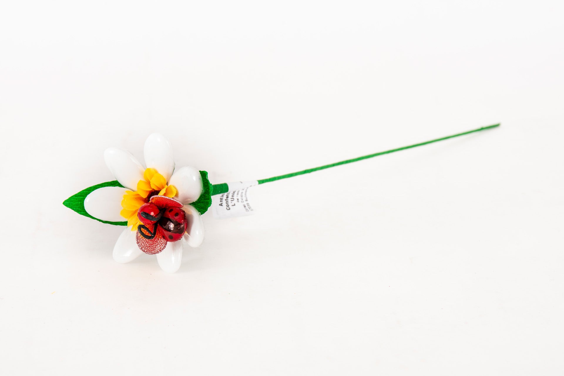 margherita-girasole-coccinella-bianca-2