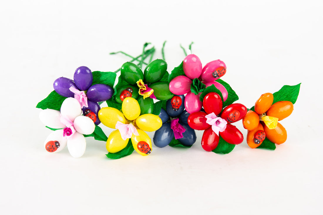 margheritina-con-coccinella