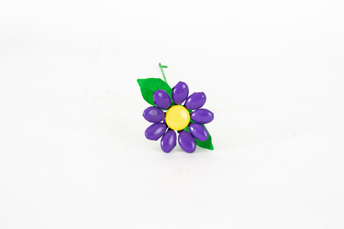 pratolina-vivace-viola-1